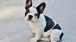 Foto: Reprodução / Instagram