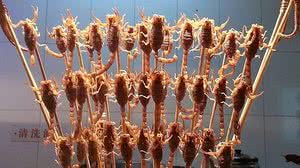 Grilos, gafanhotos, escorpiões e até cavalos-marinhos são vendidos na Ásia em espetos, como petisco. | Marieke Kuijjer/Wikimedia Commons