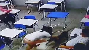 Reprodução/TV Anhanguera