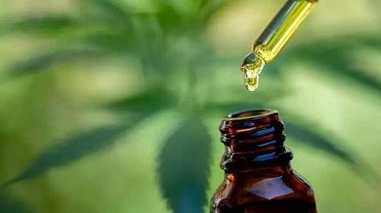 Foto: Reprodução/Adobe stock