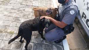 Divulgação / Polícia Militar