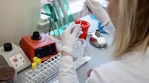 Foto: Agência Gazeta