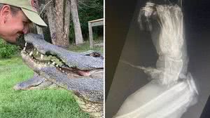 Foto: Florida Gator Gardens