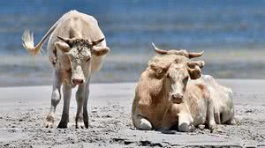 Rhonda Hunter/MetroUK