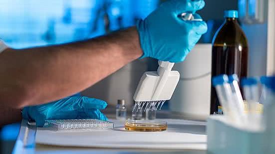 Stock Photos / Reprodução