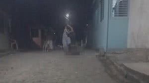 Imagem Justiça libera homem que aparece em vídeo chocante matando cachorro, em Cajueiro