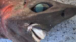 Foto: Reprodução/Facebook