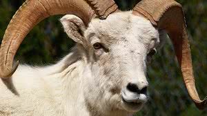 Reprodução / Internet