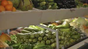 O N-verde pode ser usado em todo tipo de lavoura, mas o projeto tem foco nas hortaliças | Agência Brasil