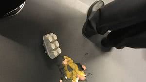 Homens estavam com caixas de ovos no local da palestra | Folhapress