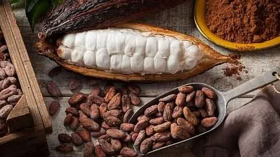 Reprodução / Google