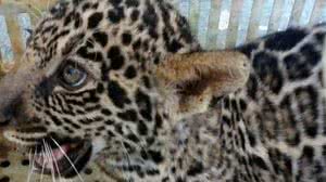 Soldado Justo / Ascom Bombeiros