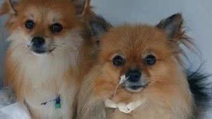 BHAZ / Arquivo Pessoal