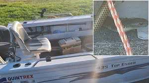 Reprodução / Bob Thatcher