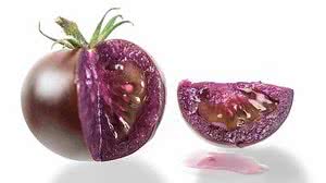 Norfolk Plant Sciences