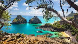 Reprodução / Nova Cruz Oficial