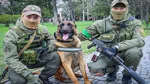 O cão Max ao lado de soldados ucranianos | Reprodução / Twitter