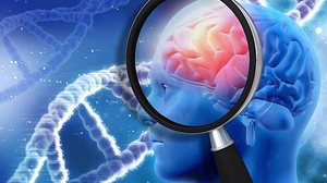 Pesquisa | IStock/Getty Images