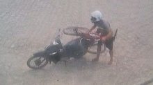 Imagens do sistema de monitoramento da prefeitura da cidade mostram o homem furtando uma bicicleta | Foto: Cortesia / Ascom PC
