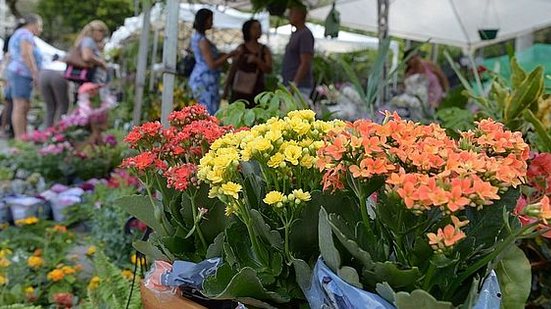 Crédito: Betto Jr / Correio 24 horas