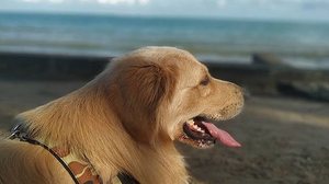 Reprodução / Instagram