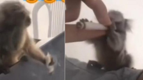 Foto: Reprodução/Redes Sociais