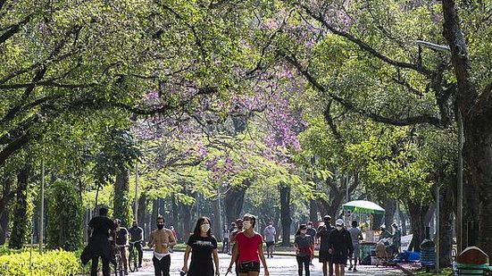 Total de casos chega a 19,3 milhões e de recuperados, a 18 milhões | Foto: Rovena Rosa / Agência Brasil