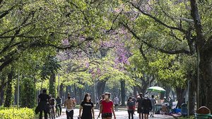 Total de casos chega a 19,3 milhões e de recuperados, a 18 milhões | Foto: Rovena Rosa / Agência Brasil