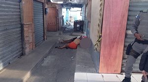 Foto: Cortesia ao TNH1