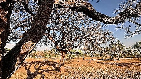 Reprodução/Agência Brasil