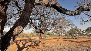 Reprodução/Agência Brasil