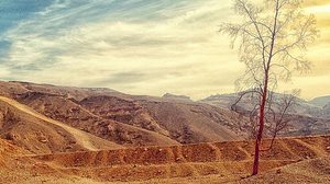 Foto: Reprodução/Pexels