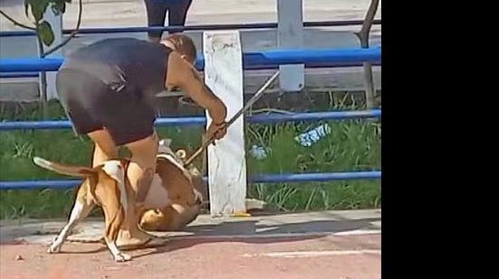 Reprodução/TV Globo