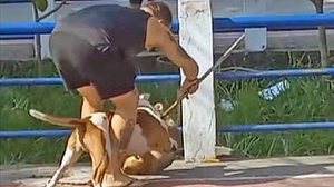 Reprodução/TV Globo