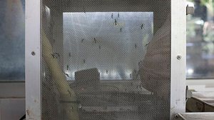 Agência do Rádio Mais