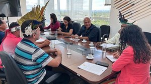 Marina Ferreira/Funai