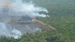 Foto: Reprodução/Daniel Nepstad