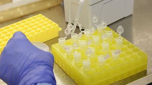 Imagem Brasil capacita nove países para diagnóstico do novo coronavírus