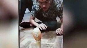 Imagem Vídeo: “Ela tá doida”, diz jovem ao provocar Naja solta em casa no DF