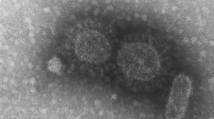 Foto: Instituto Adolfo Luz