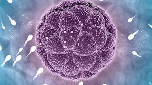 Foto: Reprodução/Freepik