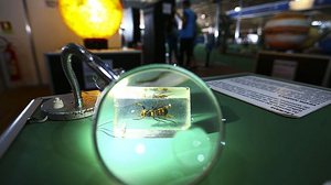 Marcelo Camargo/Agência Brasil