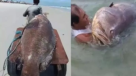 Reprodução / TV Liberal