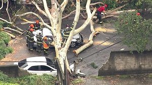 Reprodução/Globonews