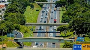 Divulgação / Triunfo Transbrasiliana