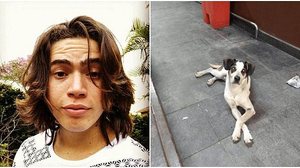 Imagem Whindersson gera polêmica ao falar sobre cachorro morto em supermercado