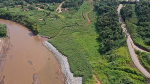 Reflorestamento depende da limpeza da área atingida por rejeitos | Foto: Divulgação / Vale