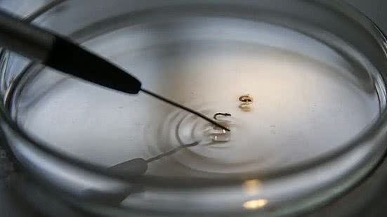 © Marcelo Camargo/Agência Brasil