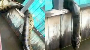 Foto: Reprodução/Twitter