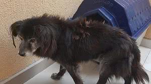 Arquivo pessoal/Karina Bremm